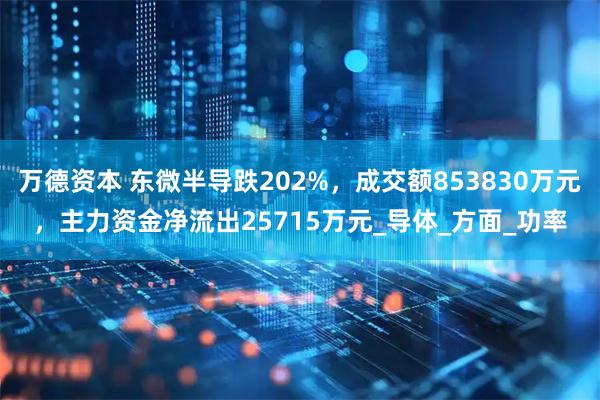 万德资本 东微半导跌202%，成交额853830万元，主力资金净流出25715万元_导体_方面_功率