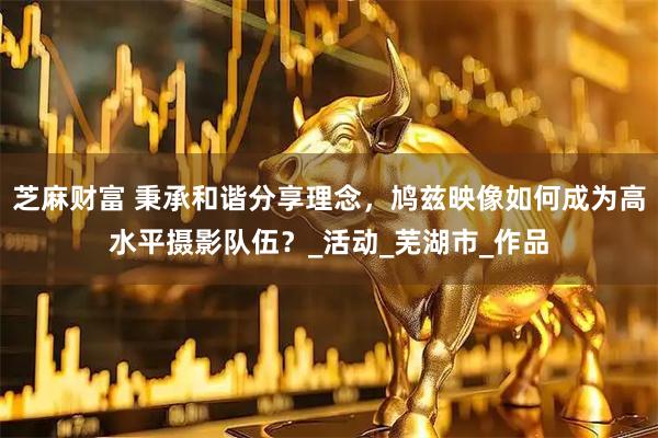 芝麻财富 秉承和谐分享理念，鸠兹映像如何成为高水平摄影队伍？_活动_芜湖市_作品