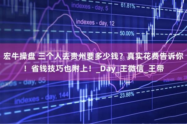 宏牛操盘 三个人去贵州要多少钱？真实花费告诉你！省钱技巧也附上！_Day_王微信_王带