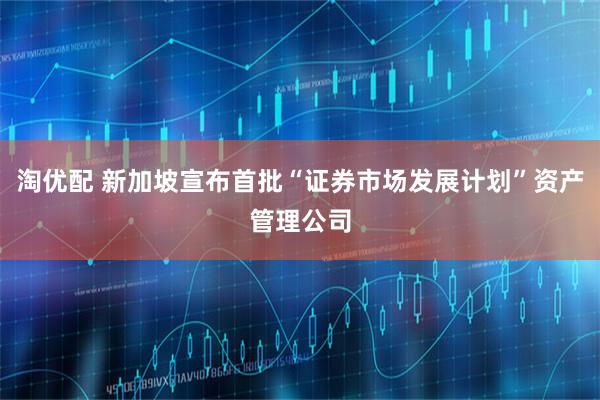 淘优配 新加坡宣布首批“证券市场发展计划”资产管理公司