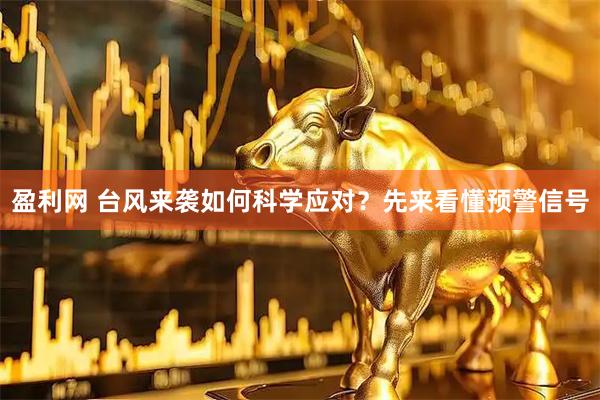盈利网 台风来袭如何科学应对？先来看懂预警信号